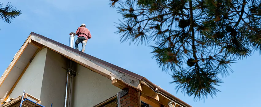 Birds Removal Contractors from Chimney in Idylwood, VA